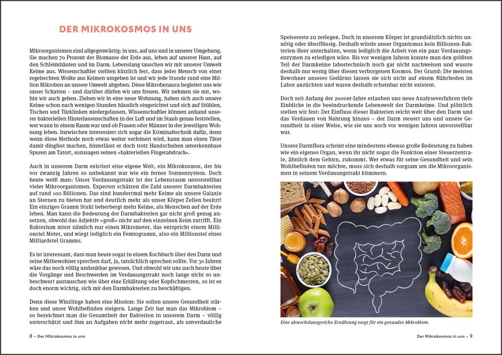 Weitere Ansicht: Schlank mit Darm Kochbuch - Aktualisierte Neuausgabe | Michaela Axt-Gadermann
