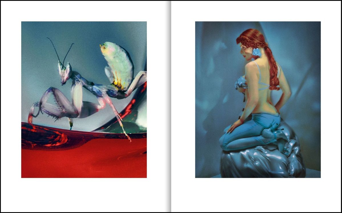 Weitere Ansicht: Found Dreams | Elizaveta Porodina