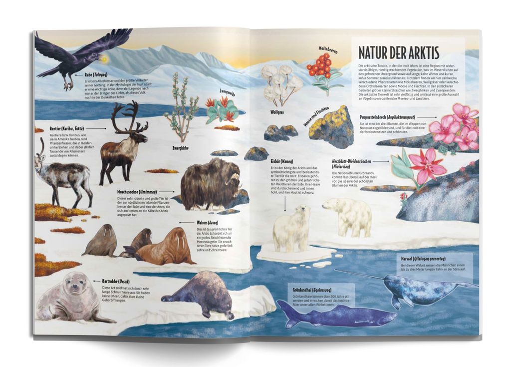 Weitere Ansicht: Die Welt der Inuit | Francesc Bailon
