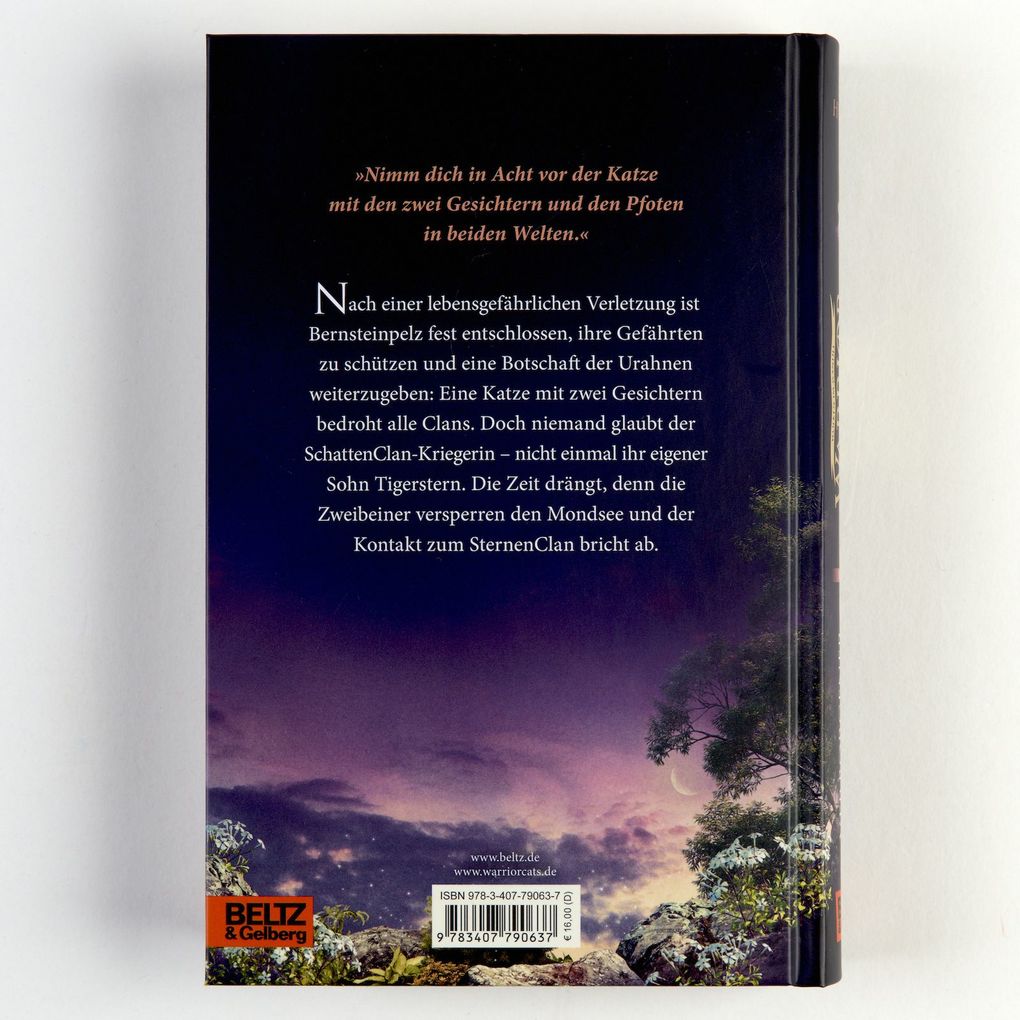 Weitere Ansicht: Warrior Cats - Wolken im Wandel. Verborgener Mond | Erin Hunter