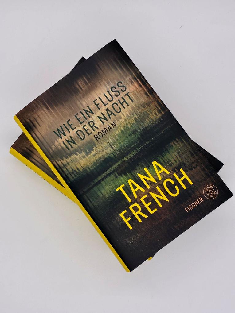 Weitere Ansicht: Wie ein Fluss in der Nacht | Tana French