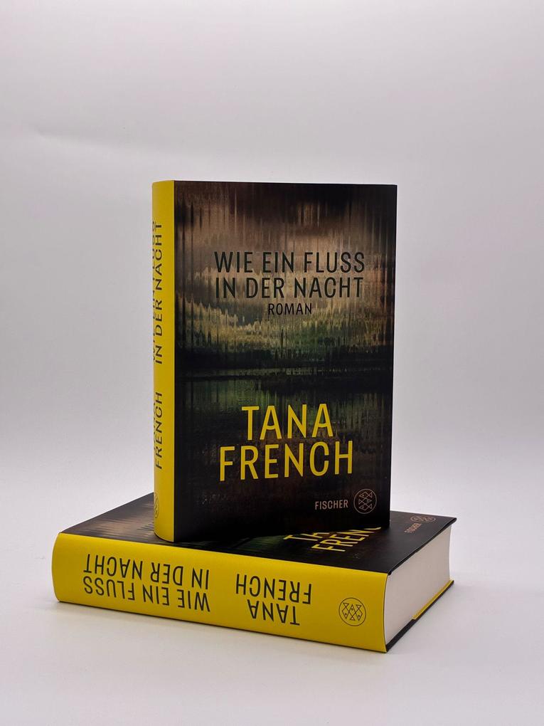 Weitere Ansicht: Wie ein Fluss in der Nacht | Tana French