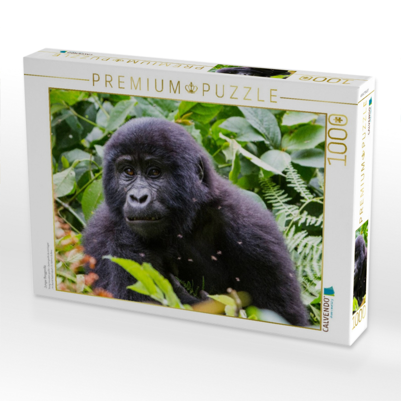 Weitere Ansicht: CALVENDO Puzzle Junger Berggorilla | 1000 Teile Lege-Größe 64x48cm Foto-Puzzle für glückliche Stunden | Calvendo
