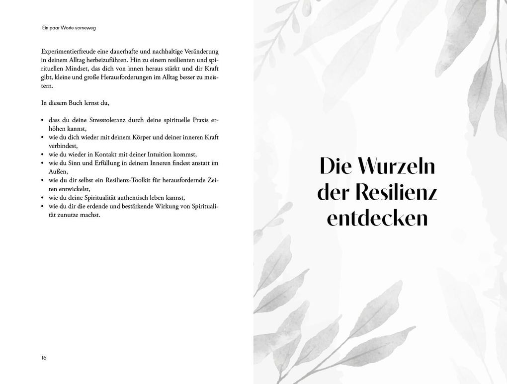 Weitere Ansicht: Spirituelle Resilienz - Gelassen Herausforderungen begegnen | Theresa Bergbauer