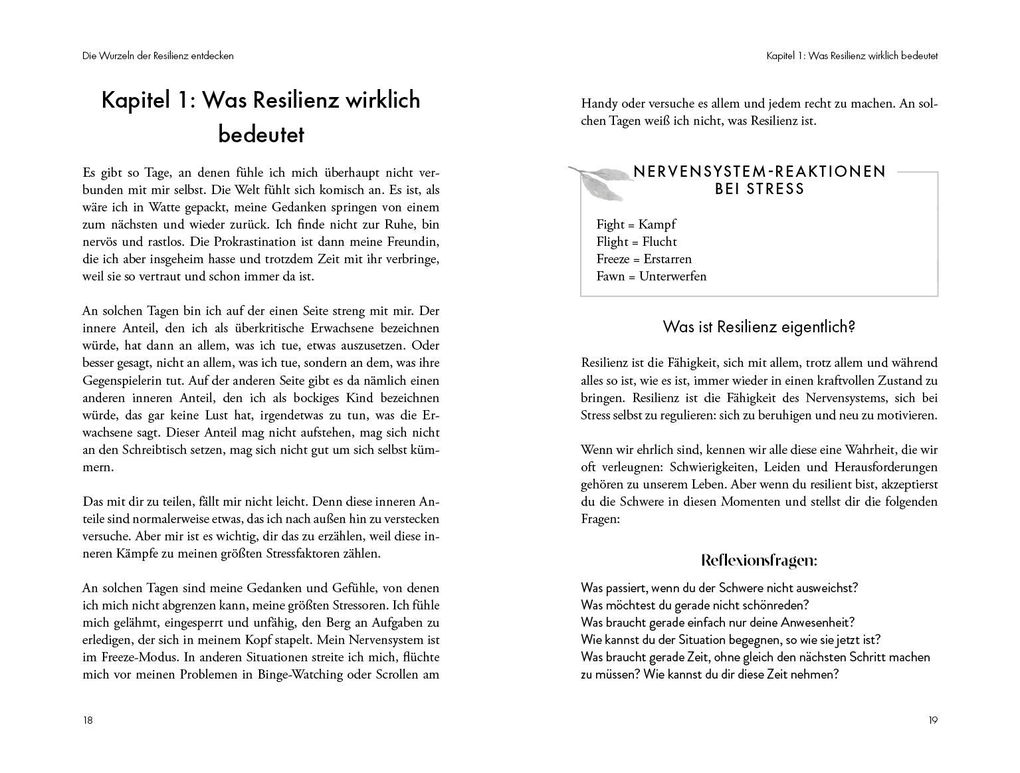 Weitere Ansicht: Spirituelle Resilienz - Gelassen Herausforderungen begegnen | Theresa Bergbauer