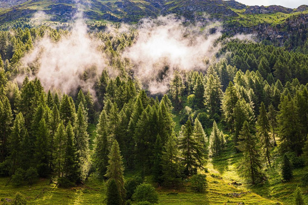 Weitere Ansicht: Val d'Anniviers | Ursi Salamin