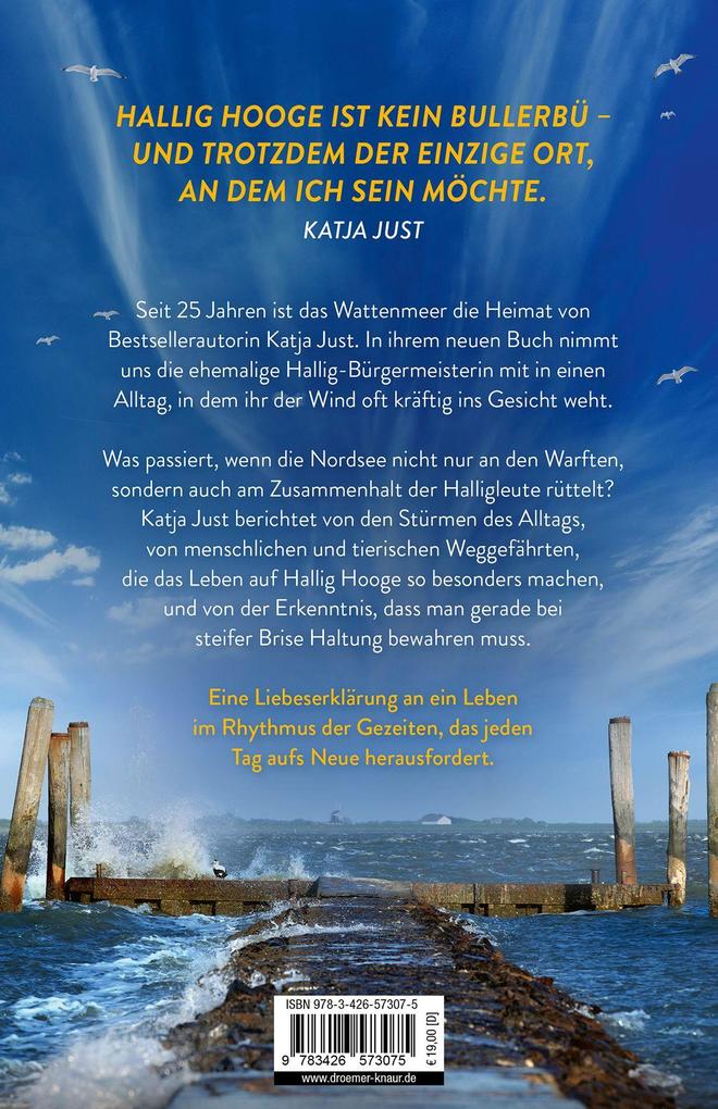 Weitere Ansicht: Gegenwind auf dem Sommerdeich | Katja Just