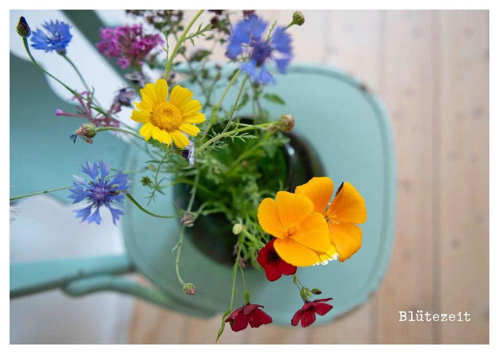 Weitere Ansicht: von Herzen - Postkartenbuch | Stephanie Brall