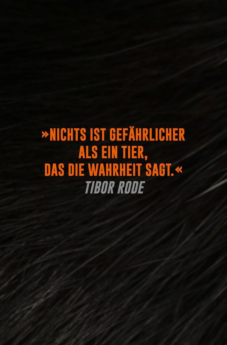 Weitere Ansicht: Animal | Tibor Rode