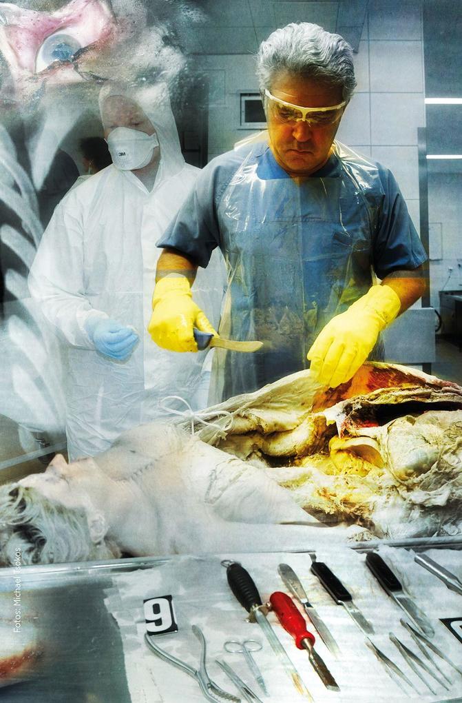 Weitere Ansicht: Mit kalter Hand | Michael Tsokos