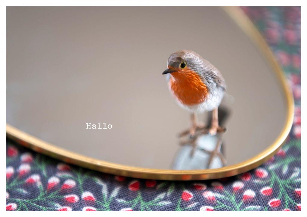 Weitere Ansicht: Mitbringsel - Postkartenbuch | Stephanie Brall