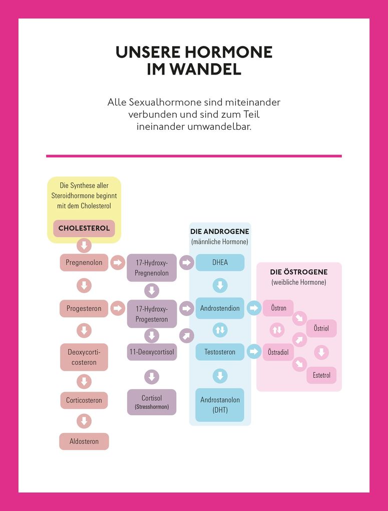 Weitere Ansicht: Willkommen in den Wechseljahren | Petra Stute