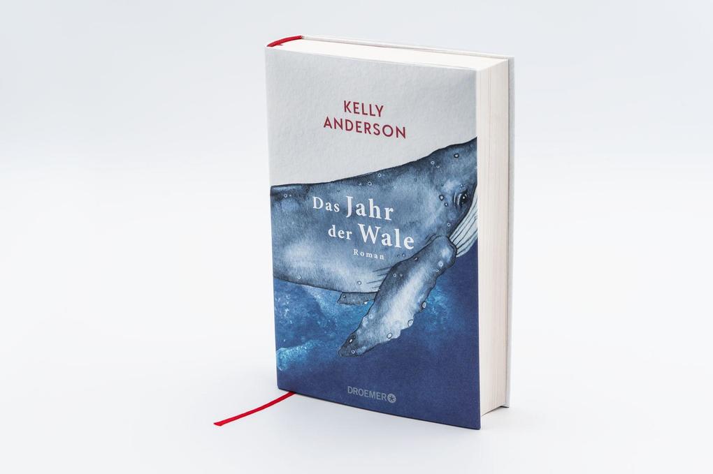 Weitere Ansicht: Das Jahr der Wale | Kelly Anderson