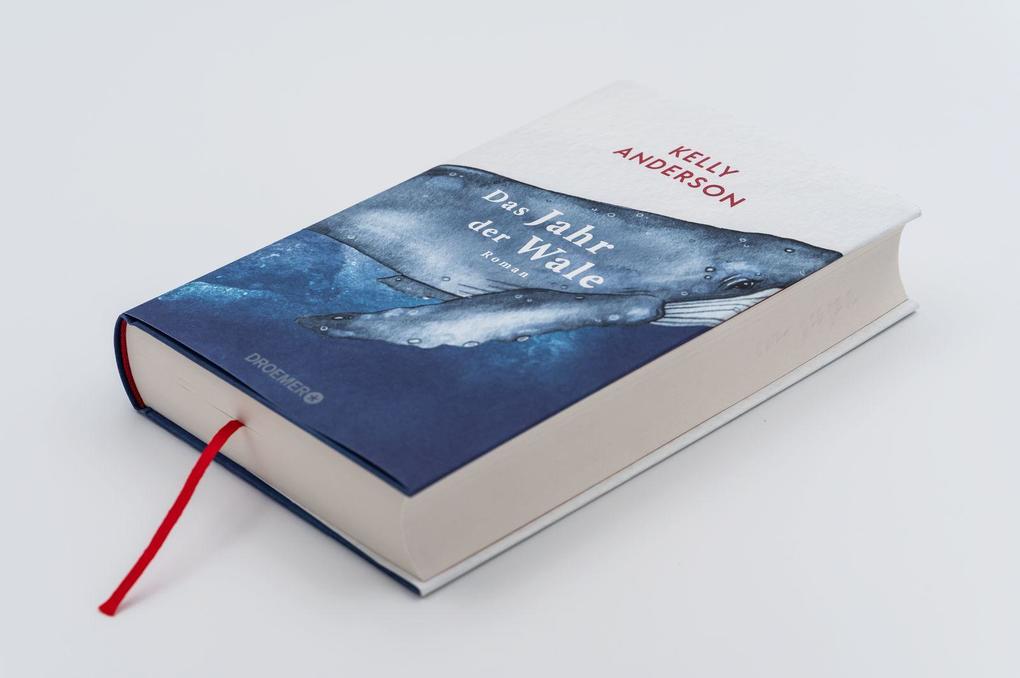 Weitere Ansicht: Das Jahr der Wale | Kelly Anderson
