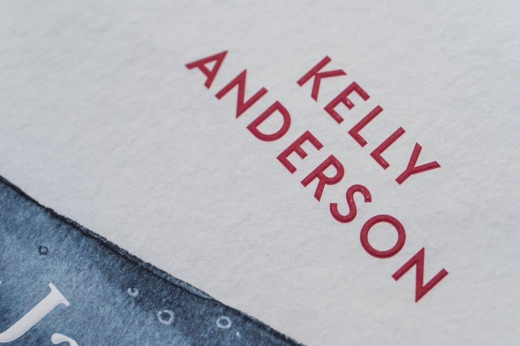 Weitere Ansicht: Das Jahr der Wale | Kelly Anderson