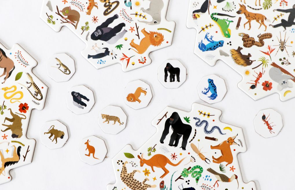 Weitere Ansicht: Erste*r sein! Safari | Caroline Selmes