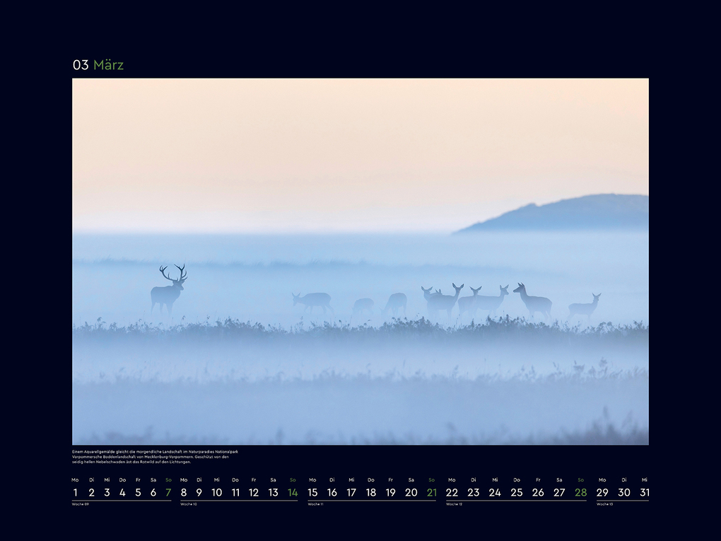 Weitere Ansicht: Wildnis Deutschland - KUNTH Wandkalender 2027