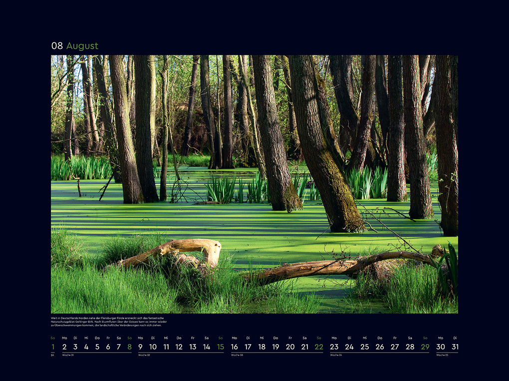 Weitere Ansicht: Wildnis Deutschland - KUNTH Wandkalender 2027