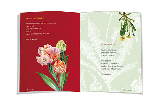 Weitere Ansicht: Blumen für das ganze Jahr