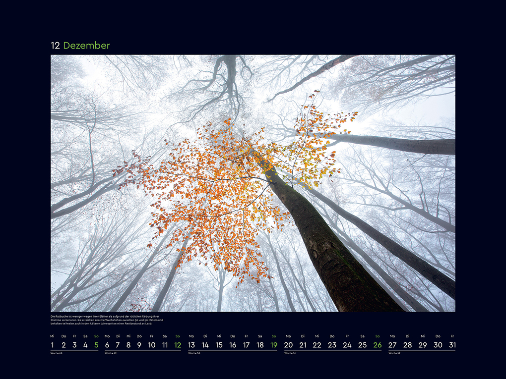 Weitere Ansicht: Farbenprächtige Jahreszeiten - KUNTH Wandkalender 2027