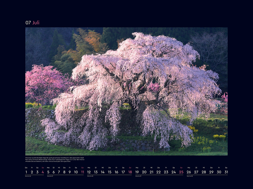 Weitere Ansicht: Aufgeblüht - KUNTH Wandkalender 2027