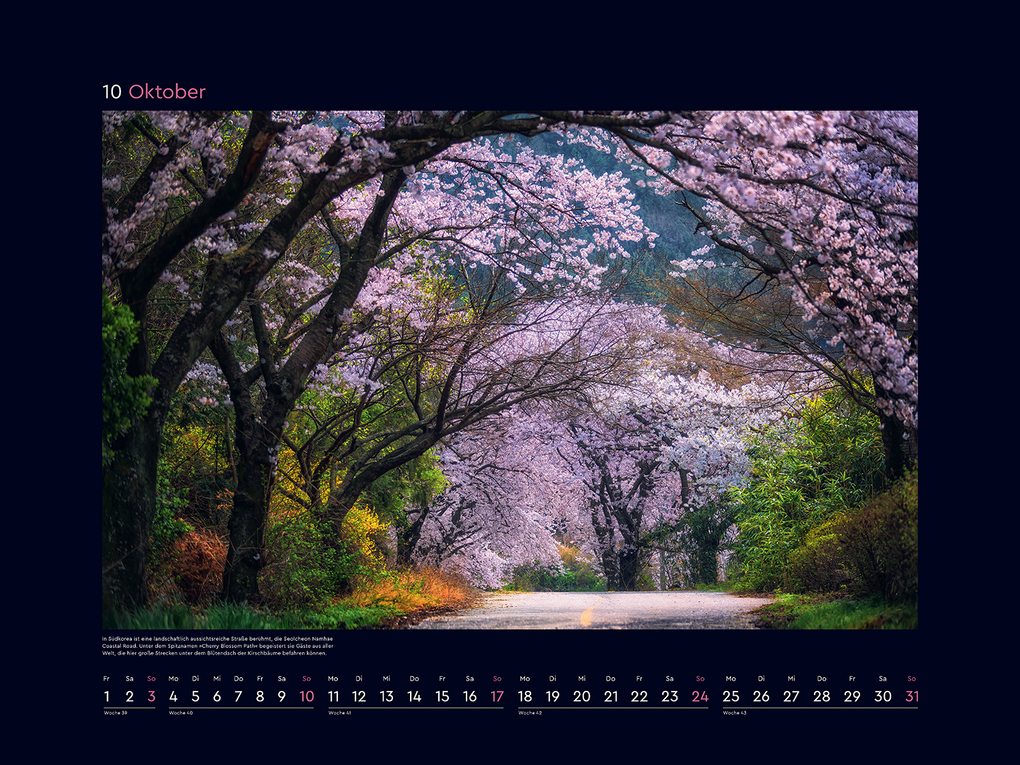 Weitere Ansicht: Aufgeblüht - KUNTH Wandkalender 2027