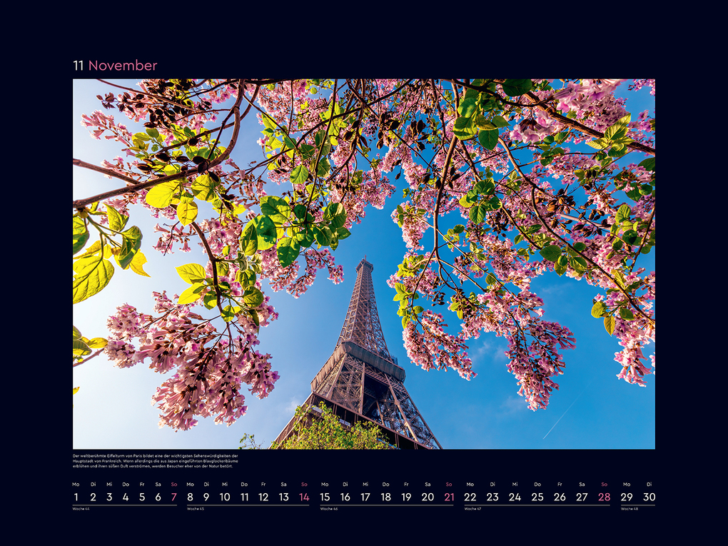 Weitere Ansicht: Aufgeblüht - KUNTH Wandkalender 2027