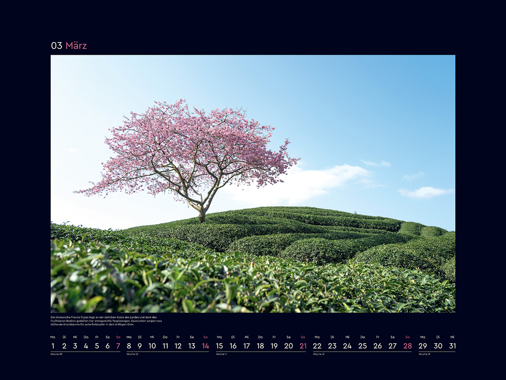 Weitere Ansicht: Aufgeblüht - KUNTH Wandkalender 2027