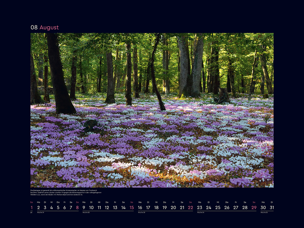 Weitere Ansicht: Aufgeblüht - KUNTH Wandkalender 2027