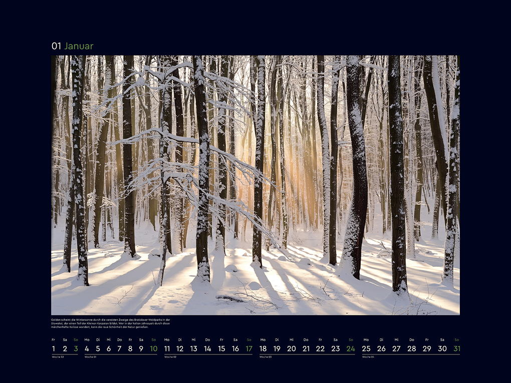 Weitere Ansicht: Magische Wälder der Erde - KUNTH Wandkalender 2027
