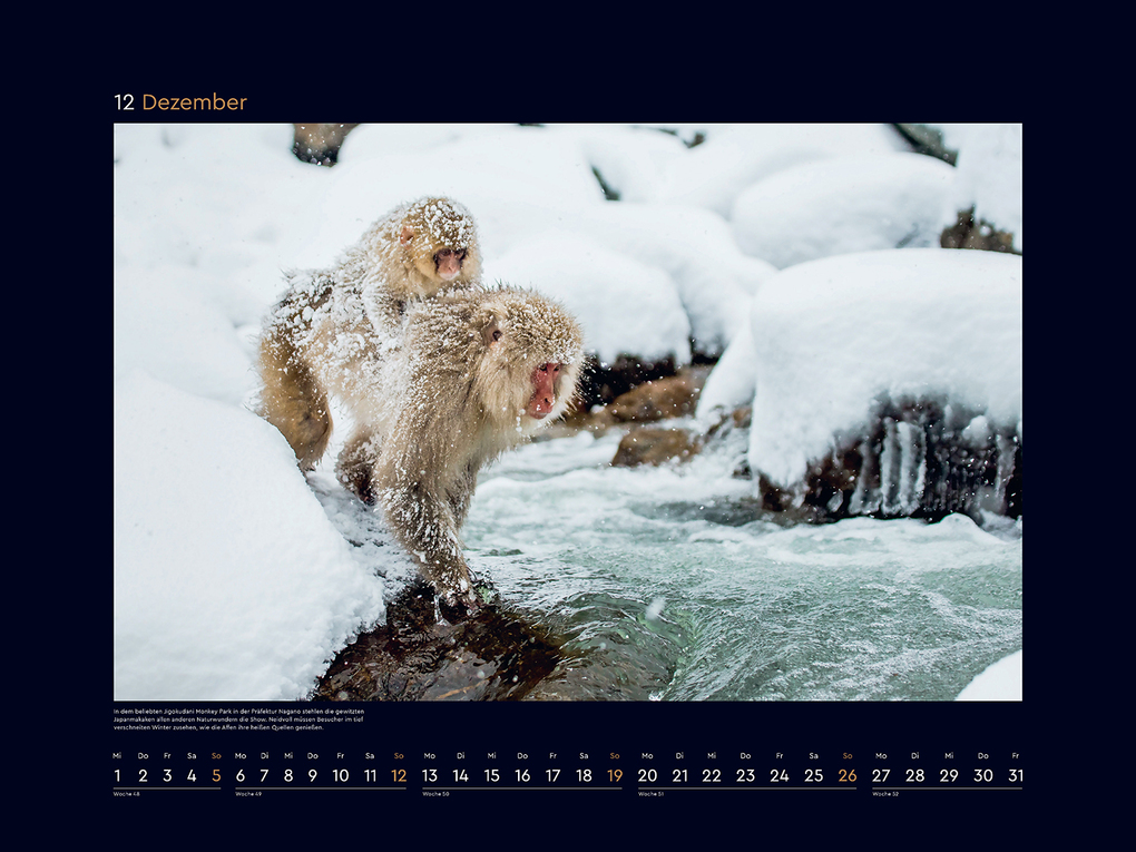 Weitere Ansicht: Japan - KUNTH Wandkalender 2027