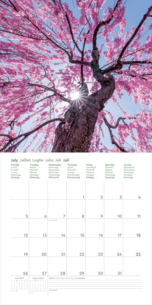 Weitere Ansicht: Aufgeblüht - KUNTH Broschurkalender 2027