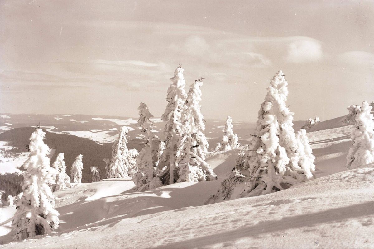 Weitere Ansicht: WinterZeitReise