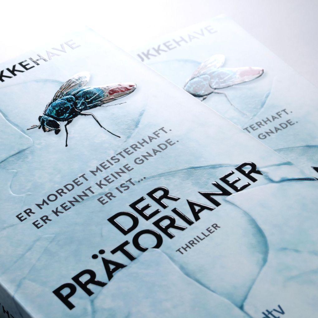 Weitere Ansicht: Der Prätorianer | Tobias Bukkehave