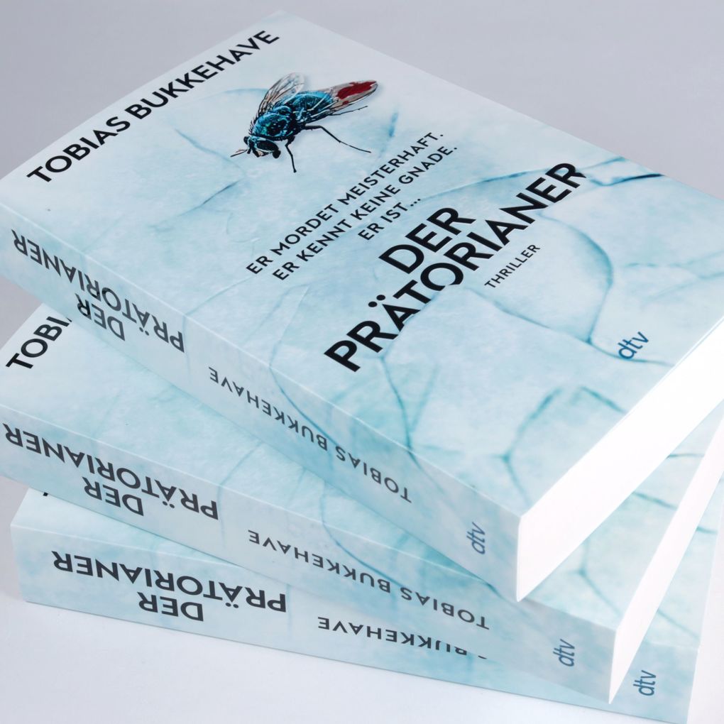 Weitere Ansicht: Der Prätorianer | Tobias Bukkehave