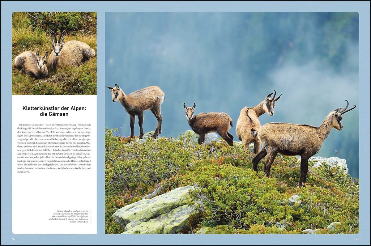 Weitere Ansicht: KUNTH Bildband Wilde Alpen | Kunth Verlag