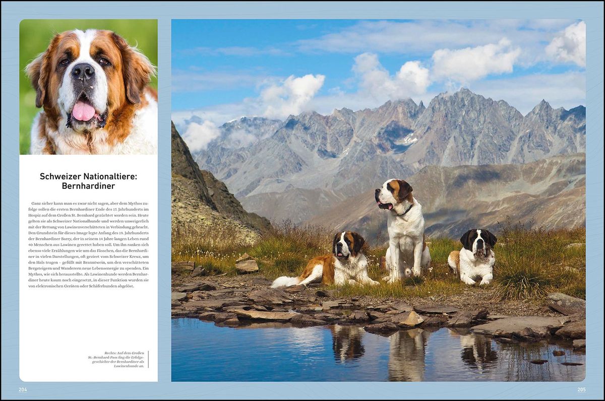 Weitere Ansicht: KUNTH Bildband Wilde Alpen | Kunth Verlag