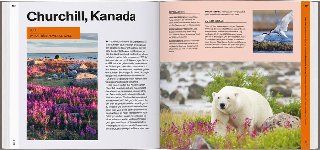 Weitere Ansicht: LONELY PLANET Bildband Offseason