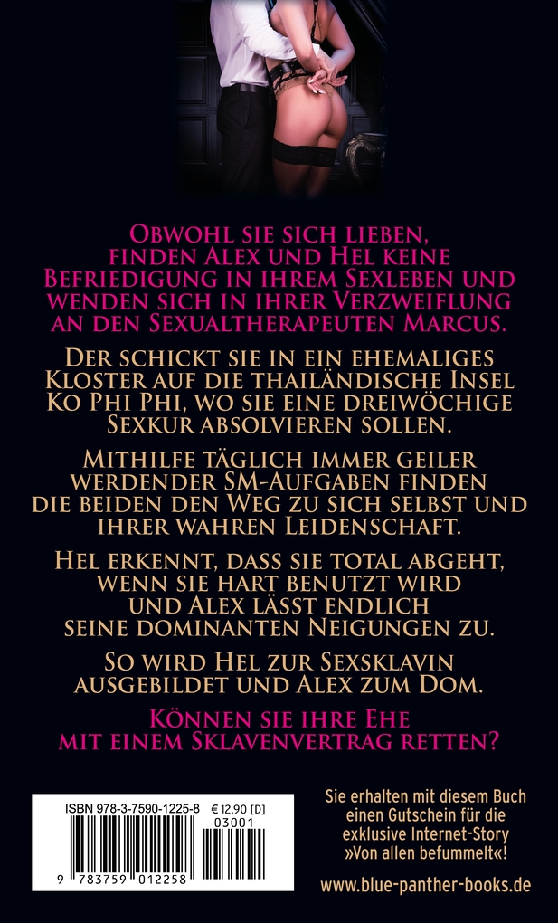 Weitere Ansicht: Im Tempel der Wollust zur Sklavin erzogen | Erotischer SM-Roman | Dina Davis
