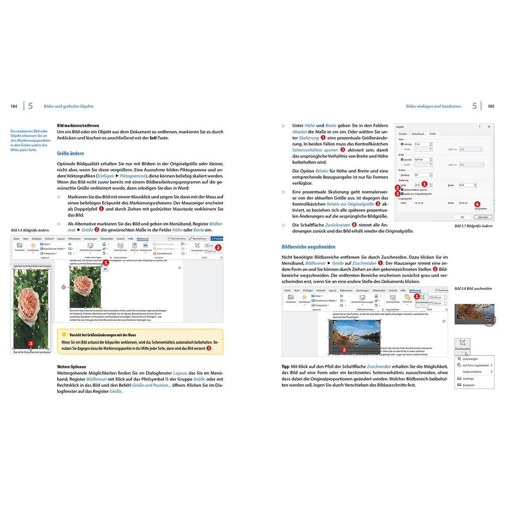 Weitere Ansicht: Word 2024 - Stufe 2: Aufbauwissen | Inge Baumeister