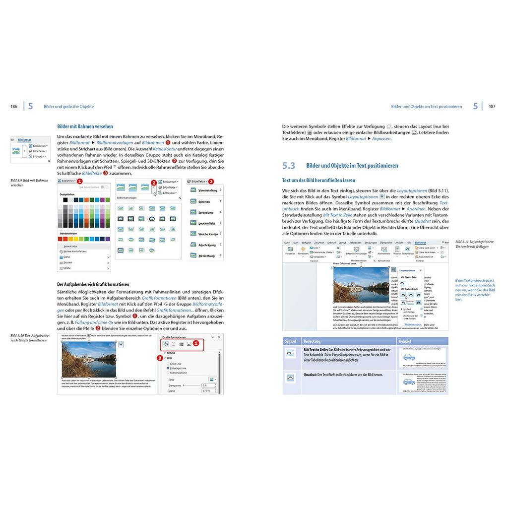 Weitere Ansicht: Word 2024 - Stufe 2: Aufbauwissen | Inge Baumeister