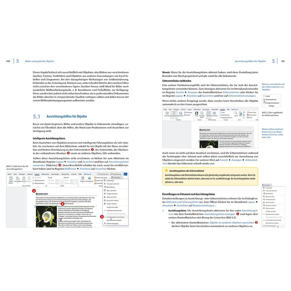 Weitere Ansicht: Word 2024 - Stufe 2: Aufbauwissen | Inge Baumeister