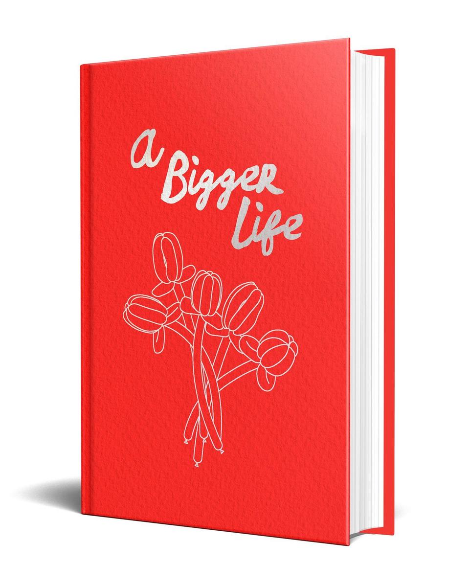Weitere Ansicht: A Bigger Life | Louise O'Neill