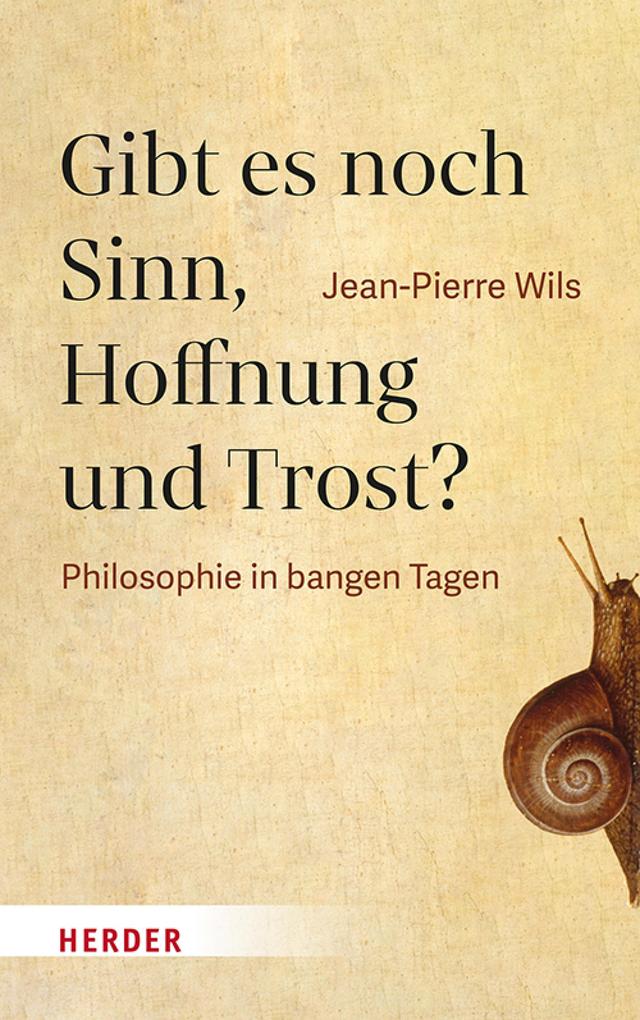 Produktbild: Gibt es noch Sinn, Hoffnung und Trost? | Jean-Pierre Wils