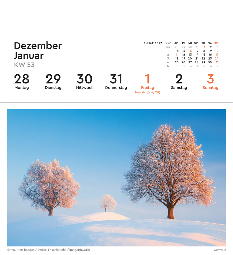 Weitere Ansicht: Alte Bäume - KUNTH Postkartenkalender 2027