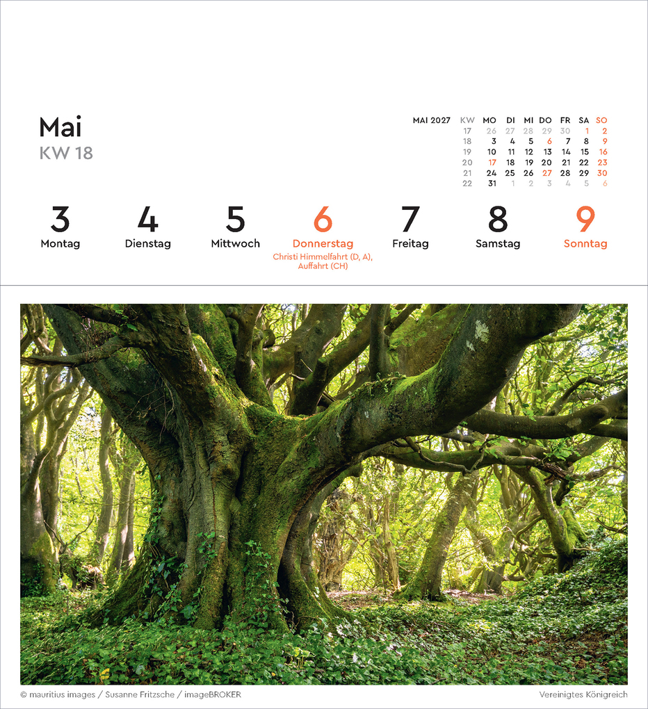 Weitere Ansicht: Alte Bäume - KUNTH Postkartenkalender 2027