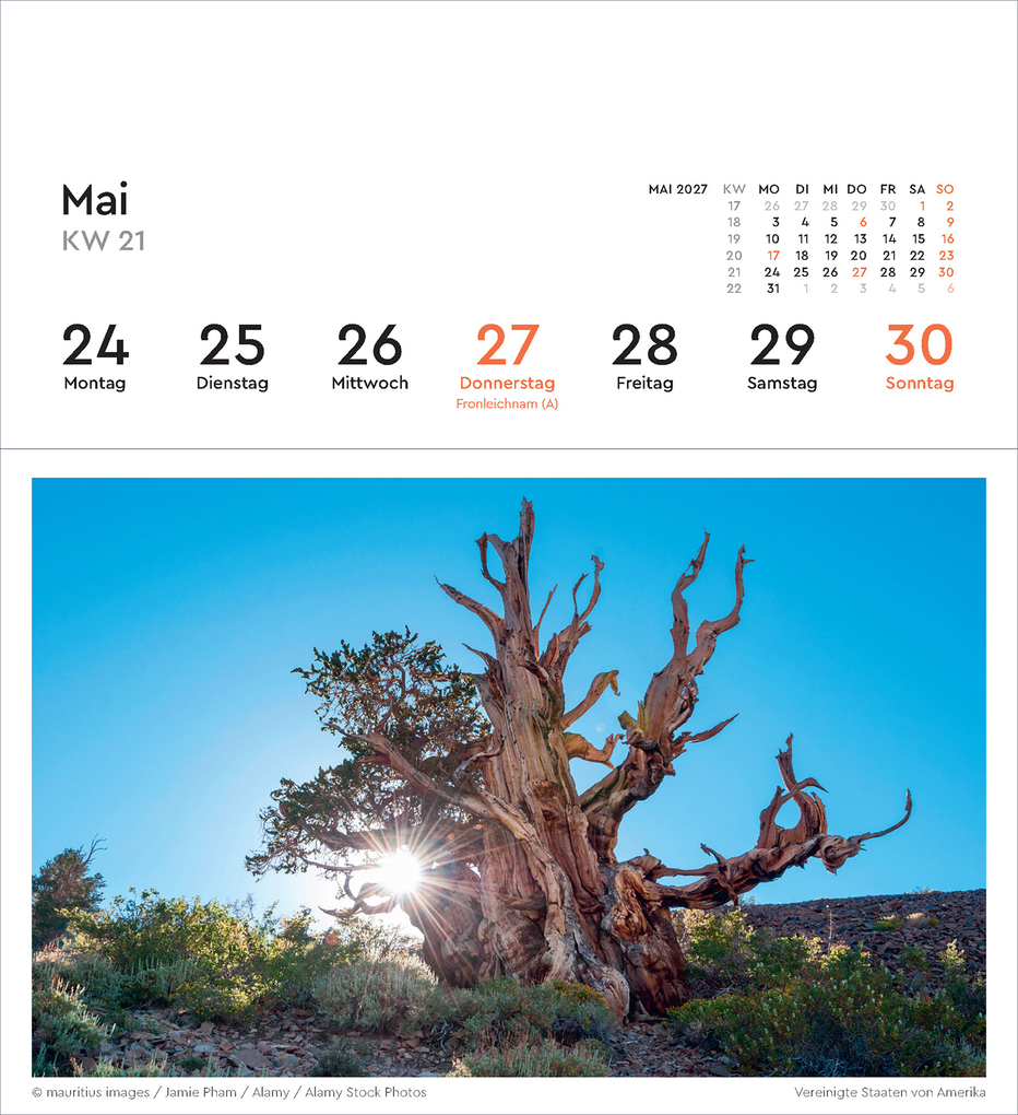 Weitere Ansicht: Alte Bäume - KUNTH Postkartenkalender 2027