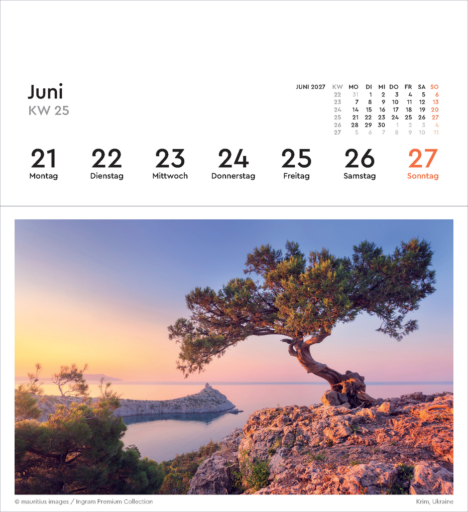 Weitere Ansicht: Alte Bäume - KUNTH Postkartenkalender 2027