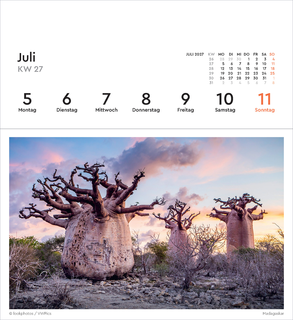 Weitere Ansicht: Alte Bäume - KUNTH Postkartenkalender 2027