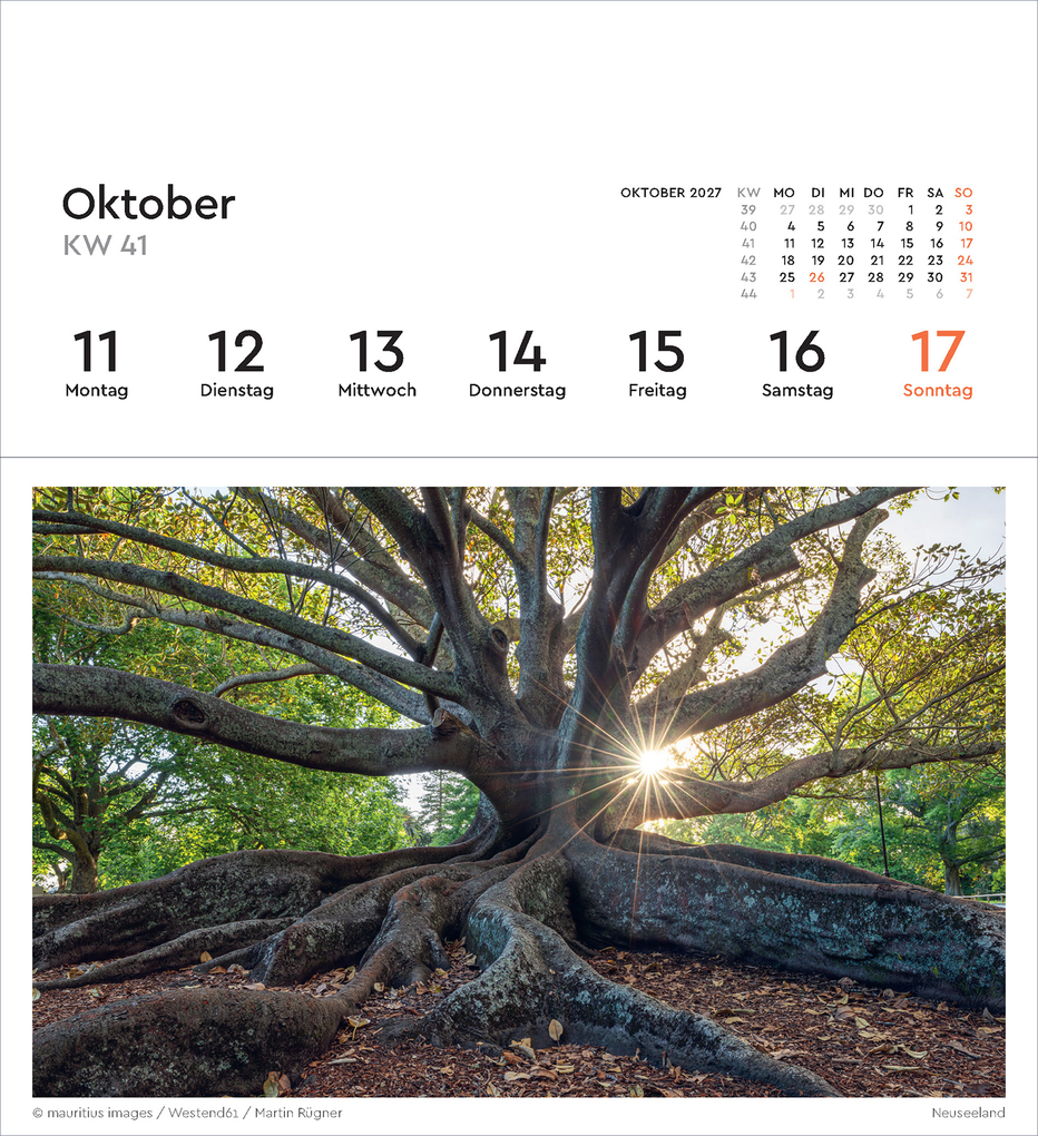 Weitere Ansicht: Alte Bäume - KUNTH Postkartenkalender 2027